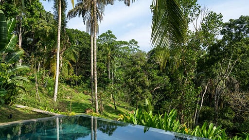 The Canopy Swimming pool