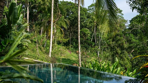 The Canopy Swimming pool