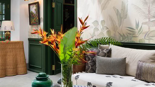 The Canopy Living room