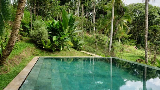 The Canopy Swimming pool