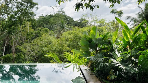 The Canopy Swimming pool