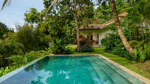 The Canopy Swimming pool