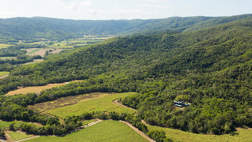 The Cassowary Drone foto's