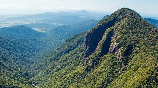 The Cassowary Surroundings