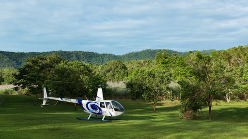 The Cassowary Surroundings