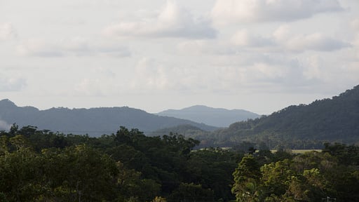 The Cassowary Surroundings
