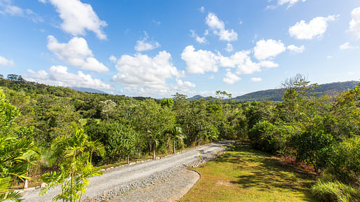 The Cassowary Surroundings