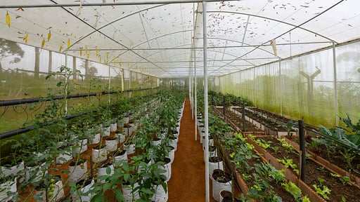 The Cavern Villa Others 