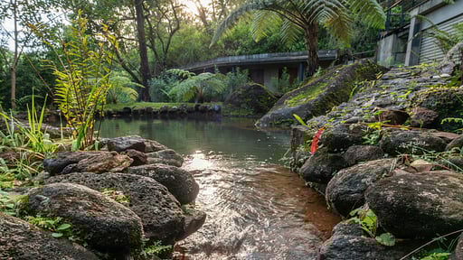 The Cavern Villa Others