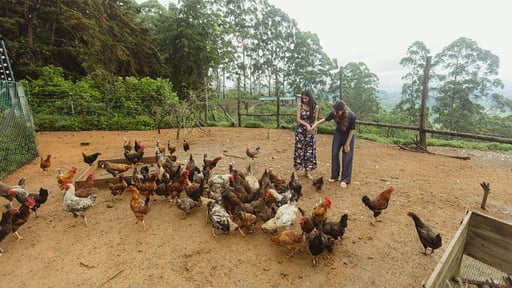 The Cavern Villa Others 