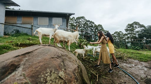 The Cavern Villa Others 