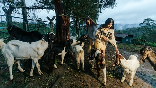 The Cavern Villa Others 