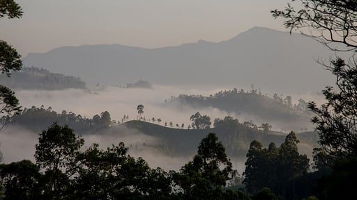 The Cavern Villa Others 