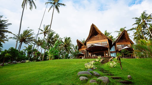 The Cove Others