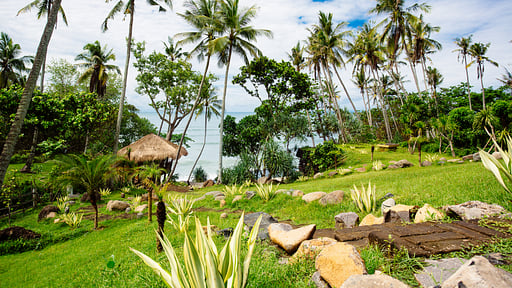 The Cove Others