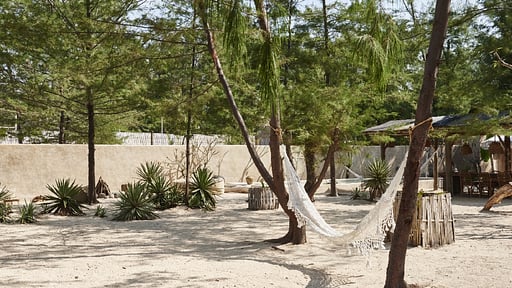 The Crusoe House Garden