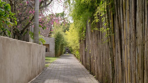 The Desu House Others