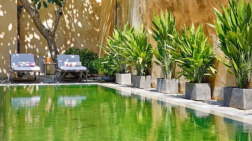 The Fort Printers Swimming pool