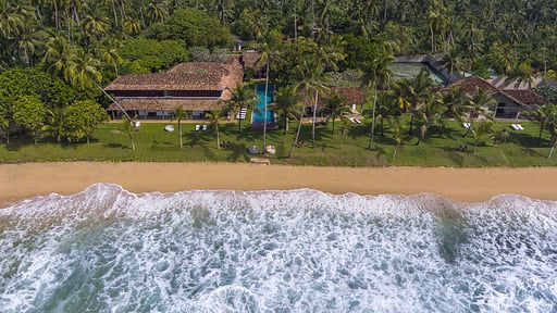 The Frangipani Tree Drohnen-Bilder