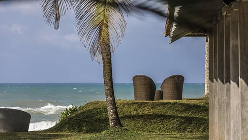 The Frangipani Tree Andere