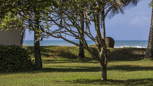 The Frangipani Tree Garten
