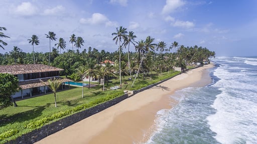 The Frangipani Tree Drohnen-Bilder