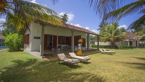 The Frangipani Tree Garten