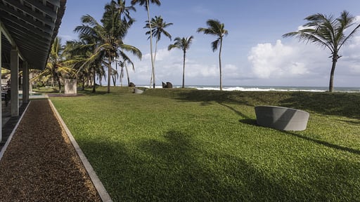 The Frangipani Tree Garten