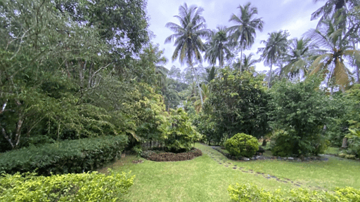 The Garden House Garden