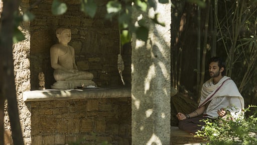 The Hermitage Others