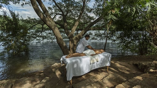 The Hermitage Others