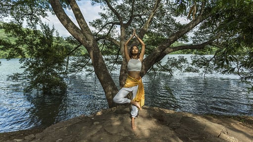 The Hermitage Others