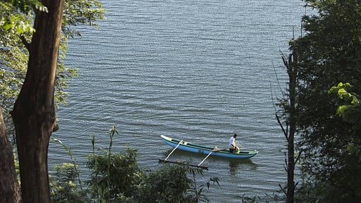 The Hermitage Others