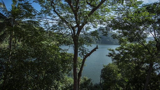 The Hermitage Others