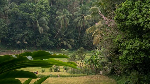 The Kandy House Drone foto's