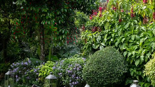 The Kandy House Garden