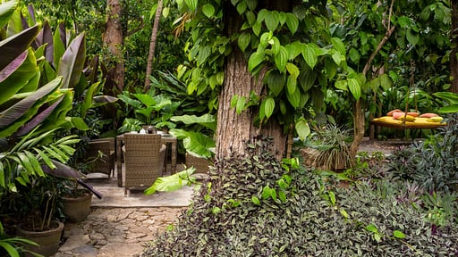 The Kandy House Slaapkamer 3