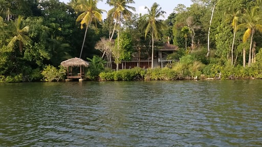 The Lake House Others