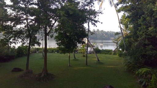 The Lake House Garden