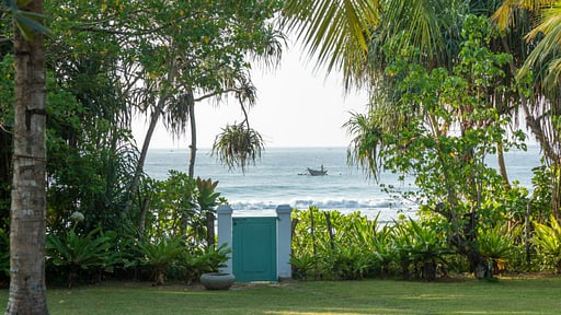 The Last House Andere