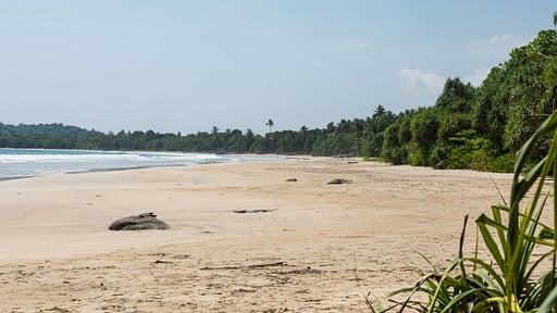 The Last House Strand