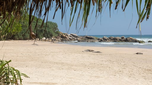 The Last House Strand