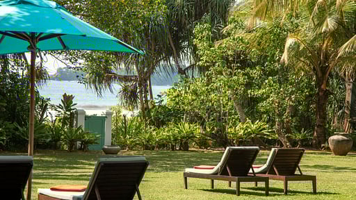 The Last House Andere