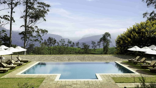 The Lavender House Piscine