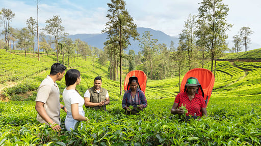 The Lavender House Alentours