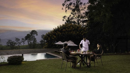 The Lavender House Alentours