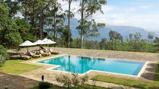 The Lavender House Piscine