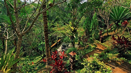 The Mahogany Villa Others