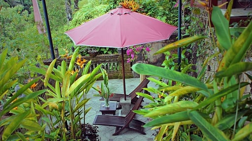 The Mahogany Villa Others