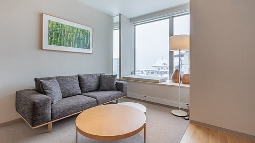 The Maples Niseko 2 Bedroom Ski View Living room